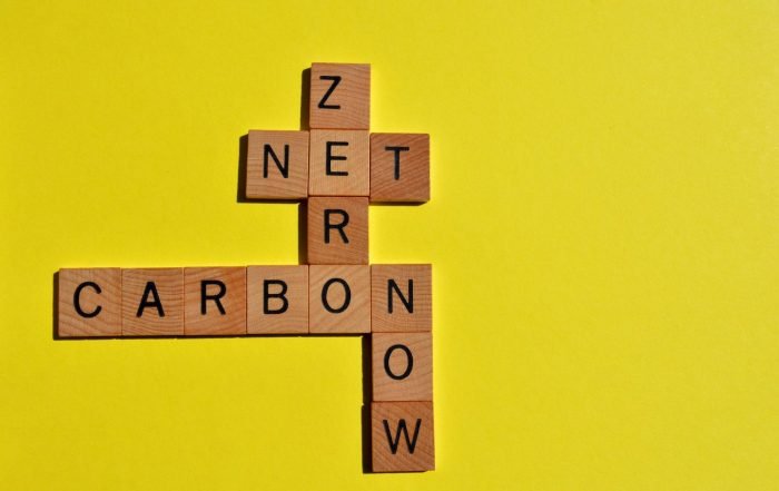 carbon neutral versus net zero